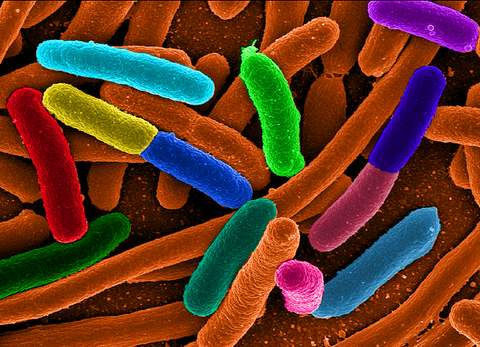 Divanlar azithromycin Divanlar azithromycin
